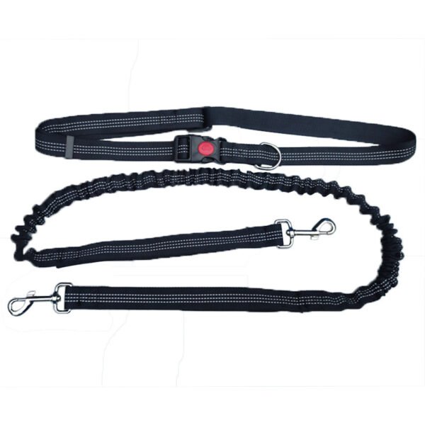 O1CN01beAygz27iBwh8jXmK_981627830-0-cib.jpg Sports Traction Rope, Multi-Functional Traction Belt, Elastic Traction Belt for Dogs, Dual-Purpose Dog Leash, Factory Direct Sales, Cross-Border Outdoor Use