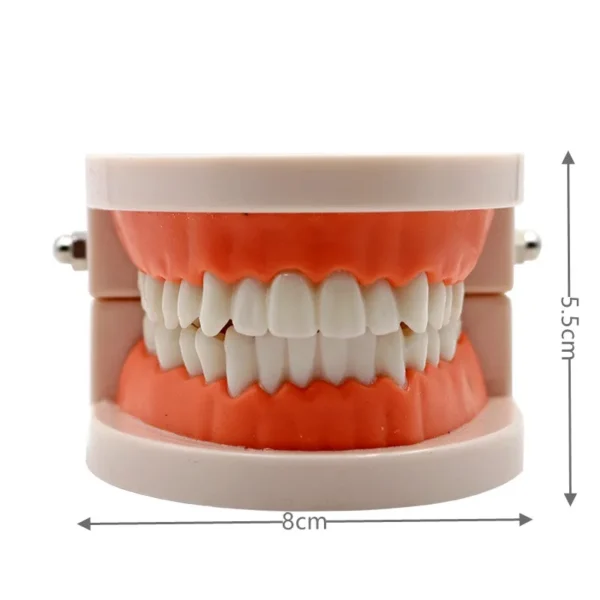 S0828224ff0244dd5bae7cd8d00735570V.webp Montessori Educational Toys for Children Early Learning Kids Intelligence Brushing Tooth Teaching Aids Simulated Practical Life