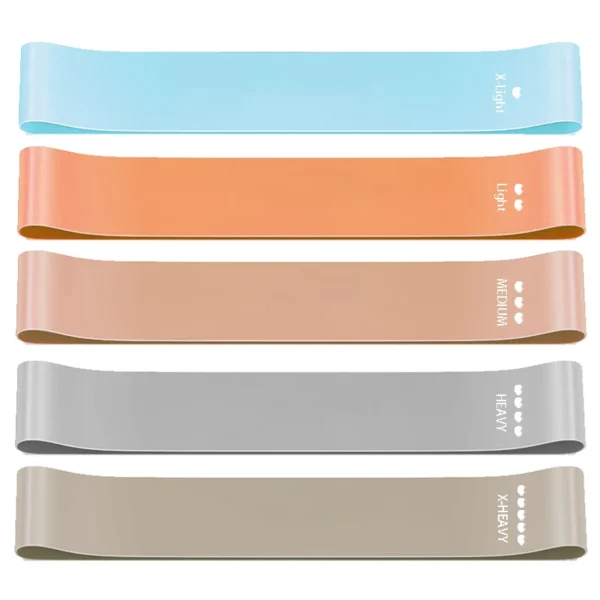Resistance Exercise Loop Bands Set Workout Bands for Women and Men Stretch Bands 5 Different Resistance Levels for Booty Legs