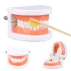S191567eb18dc48ef902d6efc59013cb6A.webp Montessori Educational Toys for Children Early Learning Kids Intelligence Brushing Tooth Teaching Aids Simulated Practical Life