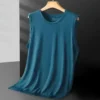 S1ade204a550745a29cbb93201f71bbabs.webp Men's Ice Silk Mesh Vest Lightweight Sports Summer Wear Sleeveless T-shirt Tank Top Casual Fashion Outerwear