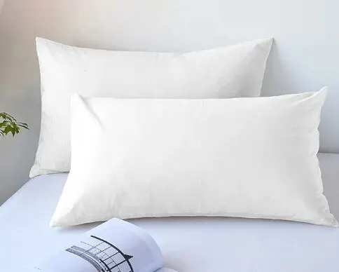 2pcs Brushed Pillowcase, Soft Breathable Pillowcase, Premium Quality Pillow Covers For Bedroom Sofa Home Decor, Without Pillow