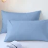 2pcs Brushed Pillowcase, Soft Breathable Pillowcase, Premium Quality Pillow Covers For Bedroom Sofa Home Decor, Without Pillow
