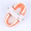 S70d347101ffb4a1ab528b00b0f532e27E.webp Montessori Educational Toys for Children Early Learning Kids Intelligence Brushing Tooth Teaching Aids Simulated Practical Life