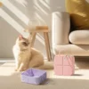 Collapsible Square Pet Travel Bowl