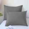 2pcs Brushed Pillowcase, Soft Breathable Pillowcase, Premium Quality Pillow Covers For Bedroom Sofa Home Decor, Without Pillow